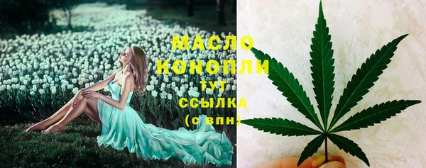 меф Арсеньев