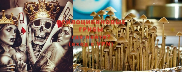меф Арсеньев