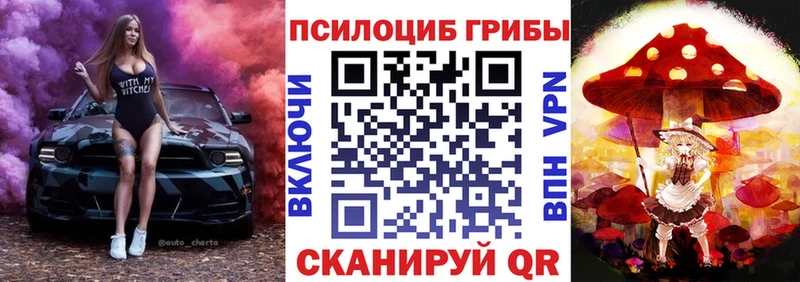 цены   Сальск  Псилоцибиновые грибы Magic Shrooms 